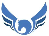 Chess Doctrine logo