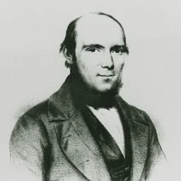 Adolf Anderssen