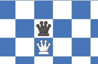 Queen in chess